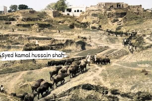 shahsabg's tweet photo. Shakarparian Village old Picture
#Shakarparian Hills Park, was once only a small village. establishment of Islamabad in 1960,home of Syed Mehmood Shah,#father of Shah Abdul Latif Kazmi Bari Imam,#Kazmi before whose birth he moved #Baghan village,which is now known as Aabpara. https://t.co/wteogrmbpX