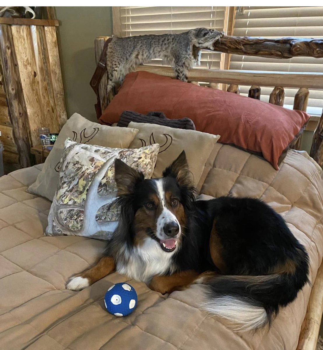 There’s a story here!