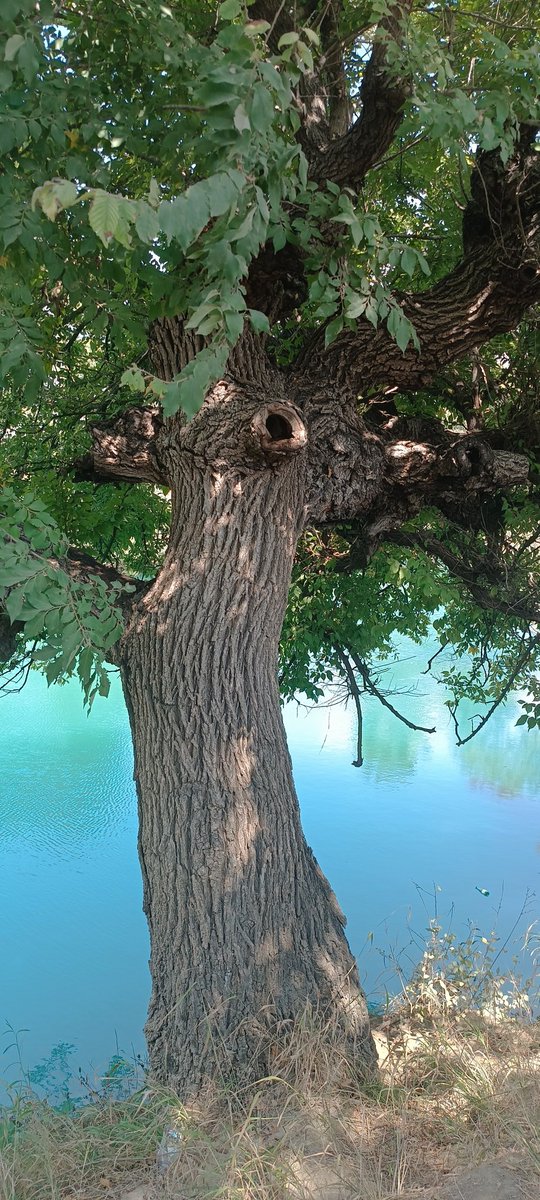 Nazan Baser (@ncbaser) on Twitter photo 