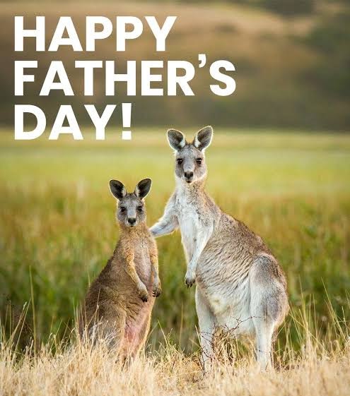 To all our Dads at IPS we want to wish you a wonderful day!!

Those who take on this role in various ways you are much appreciated. Those who are with empty arms or those missing their own, we see you, we hold space for you.

( apologies for lateness scheduled posts failed! )