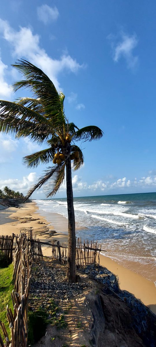 Dionisio Bazeia (@dbazeia) on Twitter photo 