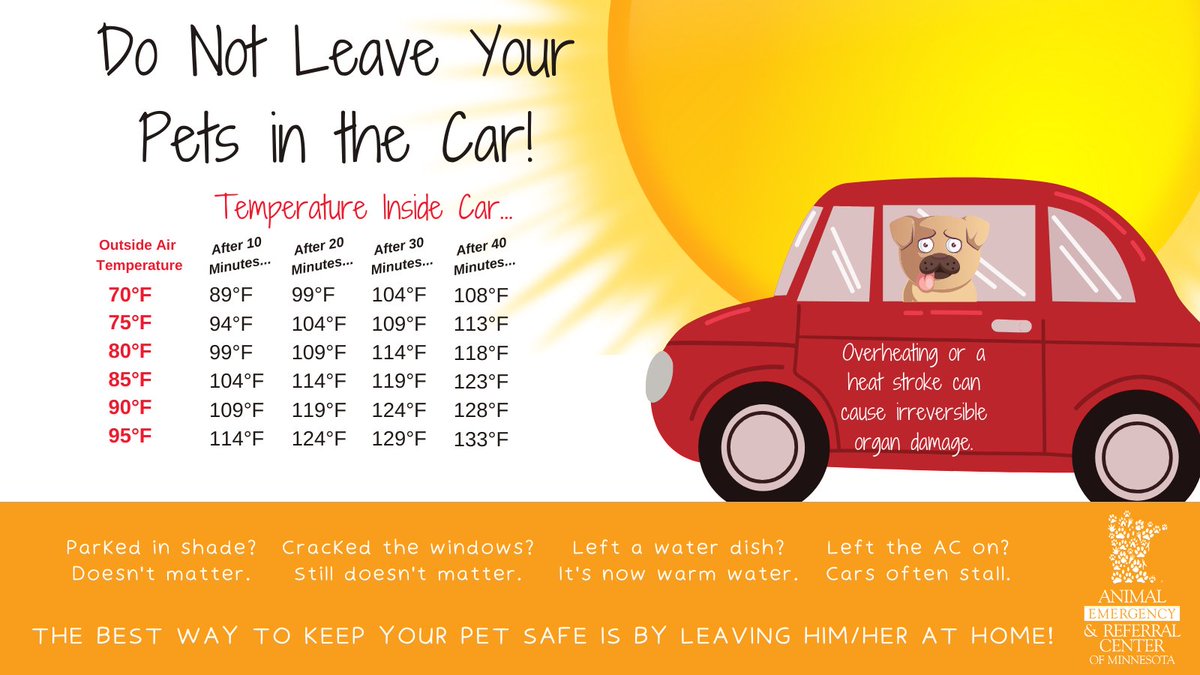 🔥DO NOT LEAVE YOUR PET IN THE CAR ON A HOT DAY🔥 

Learn more about heat risks in pets here: aercmn.com/summer-heat-ri…

Learn more about what you can do if you see a pet in a hot car & your state’s laws here: aldf.org/project/an-avo…

#heatkills #Petsafety #vetmed #twincities