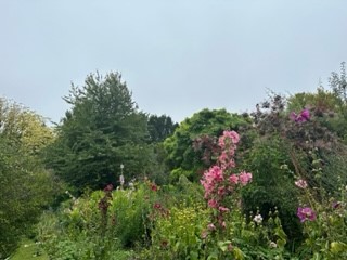 Shepherd House -  Occupational Therapy tweet media