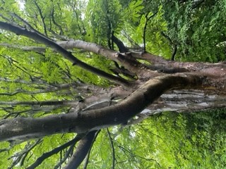 Shepherd House -  Occupational Therapy tweet media