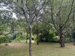 Shepherd House -  Occupational Therapy tweet media