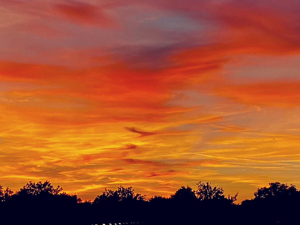 Rob Sluijter tweet media