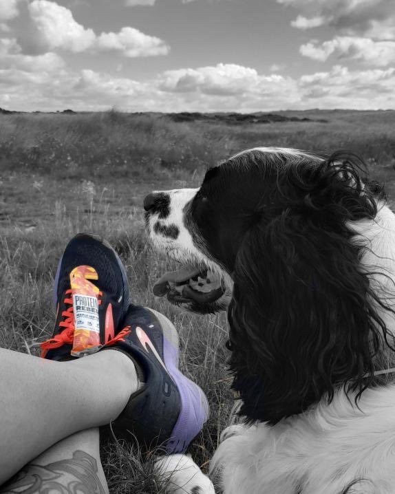 ProteinRebel's tweet image. Sunny day vibes ☀️🏃‍♀️🐕 

#run #runner #ukrunner #canicross #sundayrun