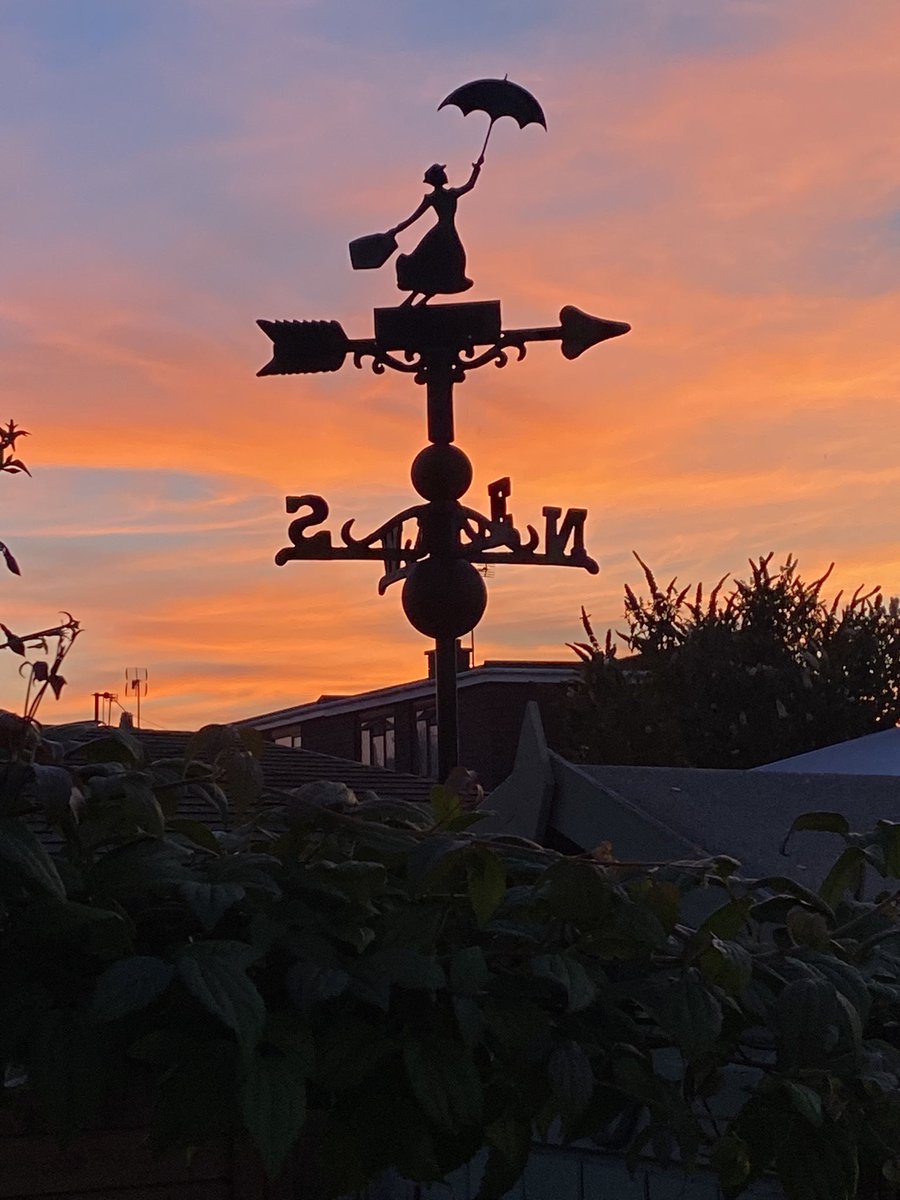 Beautiful finish to a beautiful day.
Good night everyone #GardeningTwitter