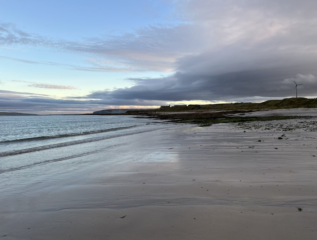 NavajoBirdsong's tweet photo. #Sandside #Deerness #Orkney- you wouldnโt like it - so donโt visit.. https://t.co/z0ZVnoL0Op
