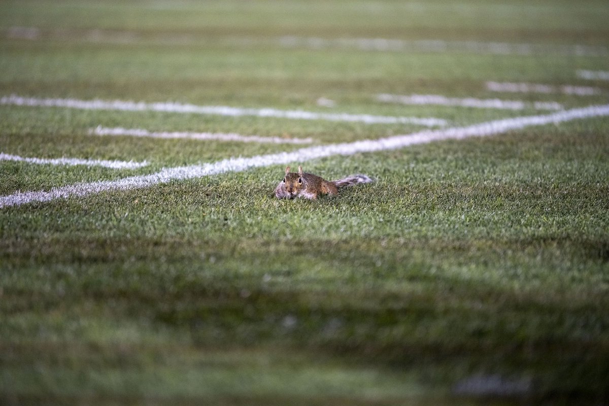 Beaver Stadium tweet media