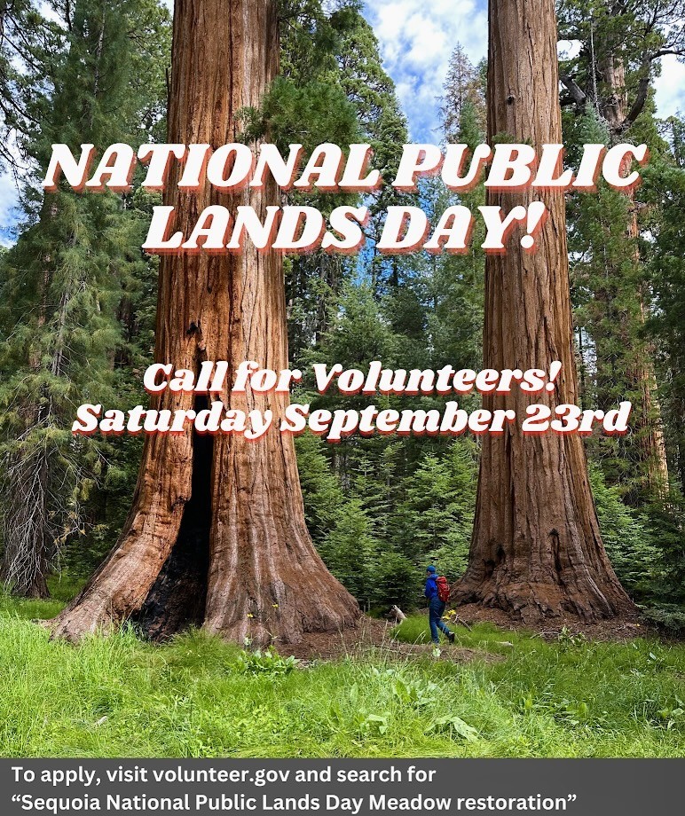 Volunteer with us on #NationalPublicLandsDay on September 23! Visit volunteer.gov and search 'sequoia' for more information.