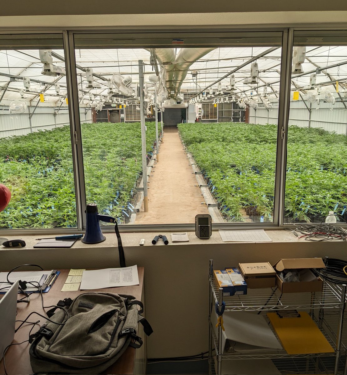 It's no corner office, but the view isn't half bad. 💚🌱 #growyourown