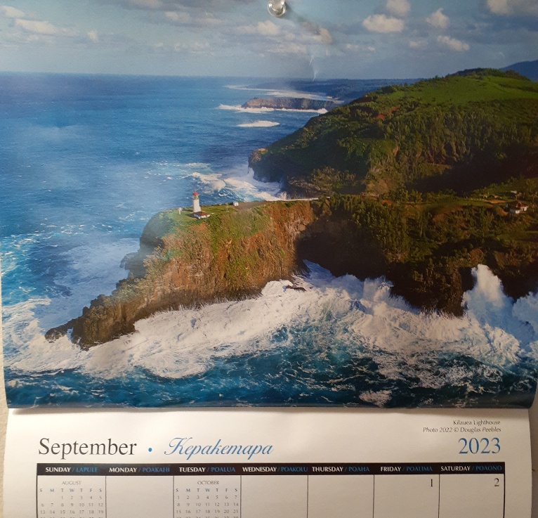 Lee Chears tweet media