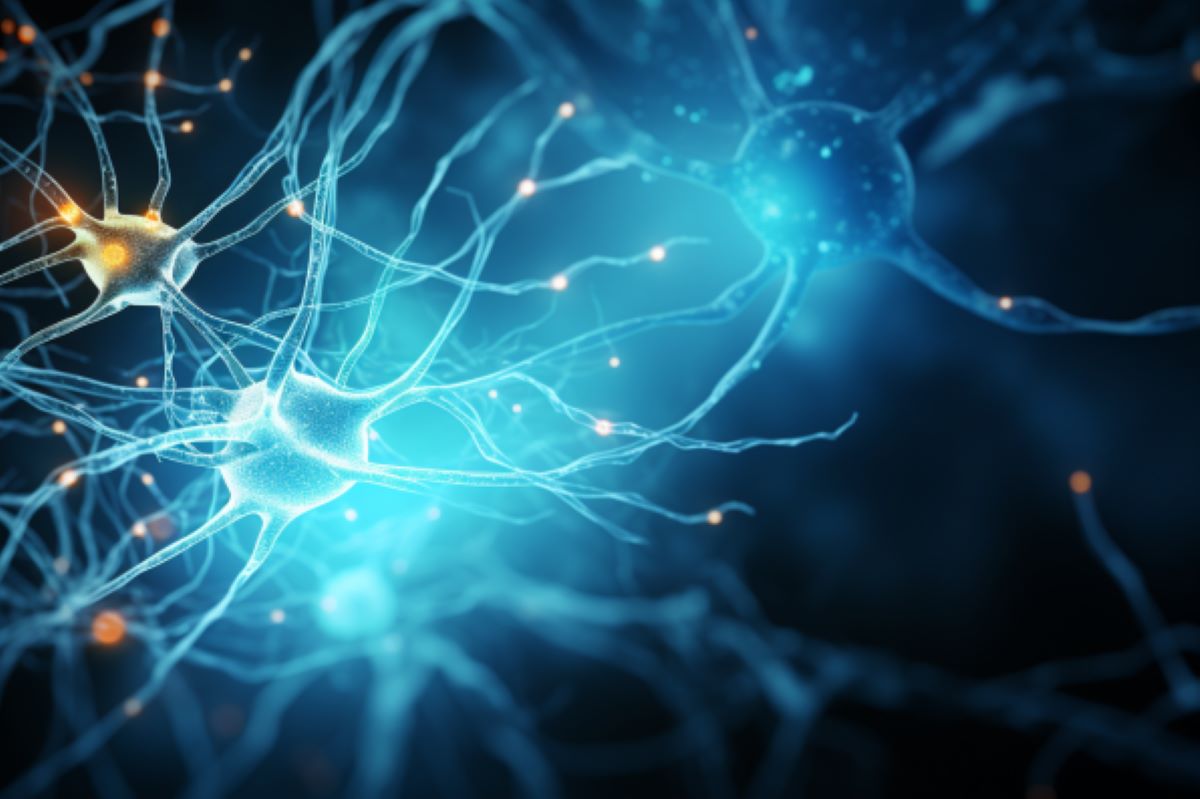 NeuroscienceNew's tweet photo. Groundbreaking research shows MS drug, ponesimod, could be a game-changer for treating Alzheimer’s.  ✅ Reduces neuroinflammation ✅ Reprograms microglia cells ✅ Improves memory.

https://t.co/0seJITZn5N

#neuroscience 
1/2 https://t.co/pvmBiWk8j3