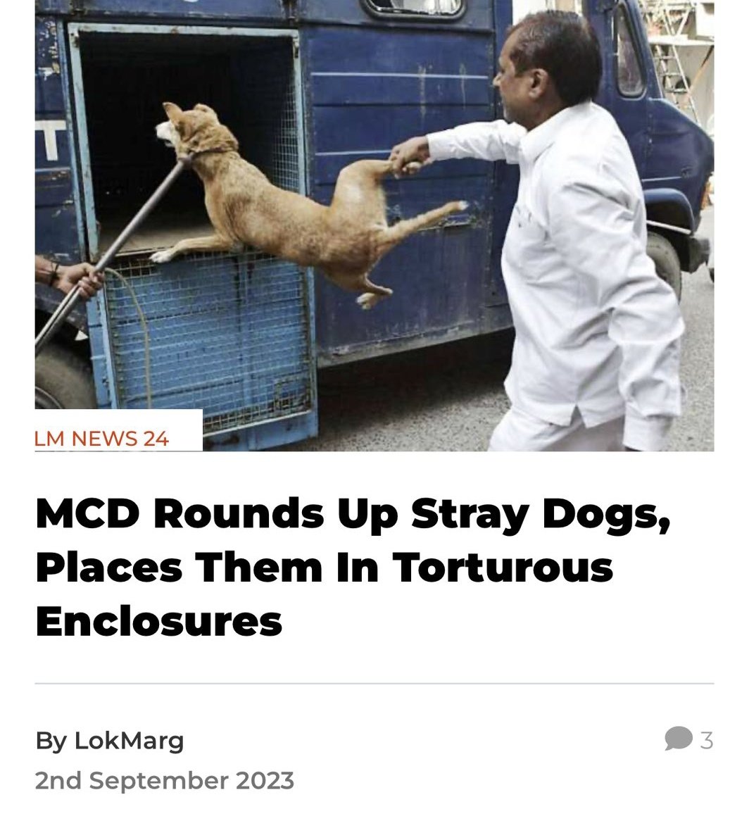 India 🇮🇳 JoinToday8-9PM TWEET #G20AnimalCruelty

It’s TimetoStandUpAgainst the Illegalities <a href="/MCD_Delhi/">Municipal Corporation of Delhi</a> is Inflicting on OurCommunityDogs
LetsRaiseOurVoices

FloodTwitter with Our Disappointment&amp;Anger towards theLawlessAct of picking Serilised Dogs from our🇮🇳streets
<a href="/sakshijoshii/">Sakshi Joshi</a>