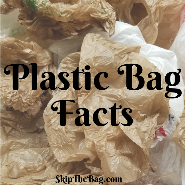 Katy Skip The Bag tweet media