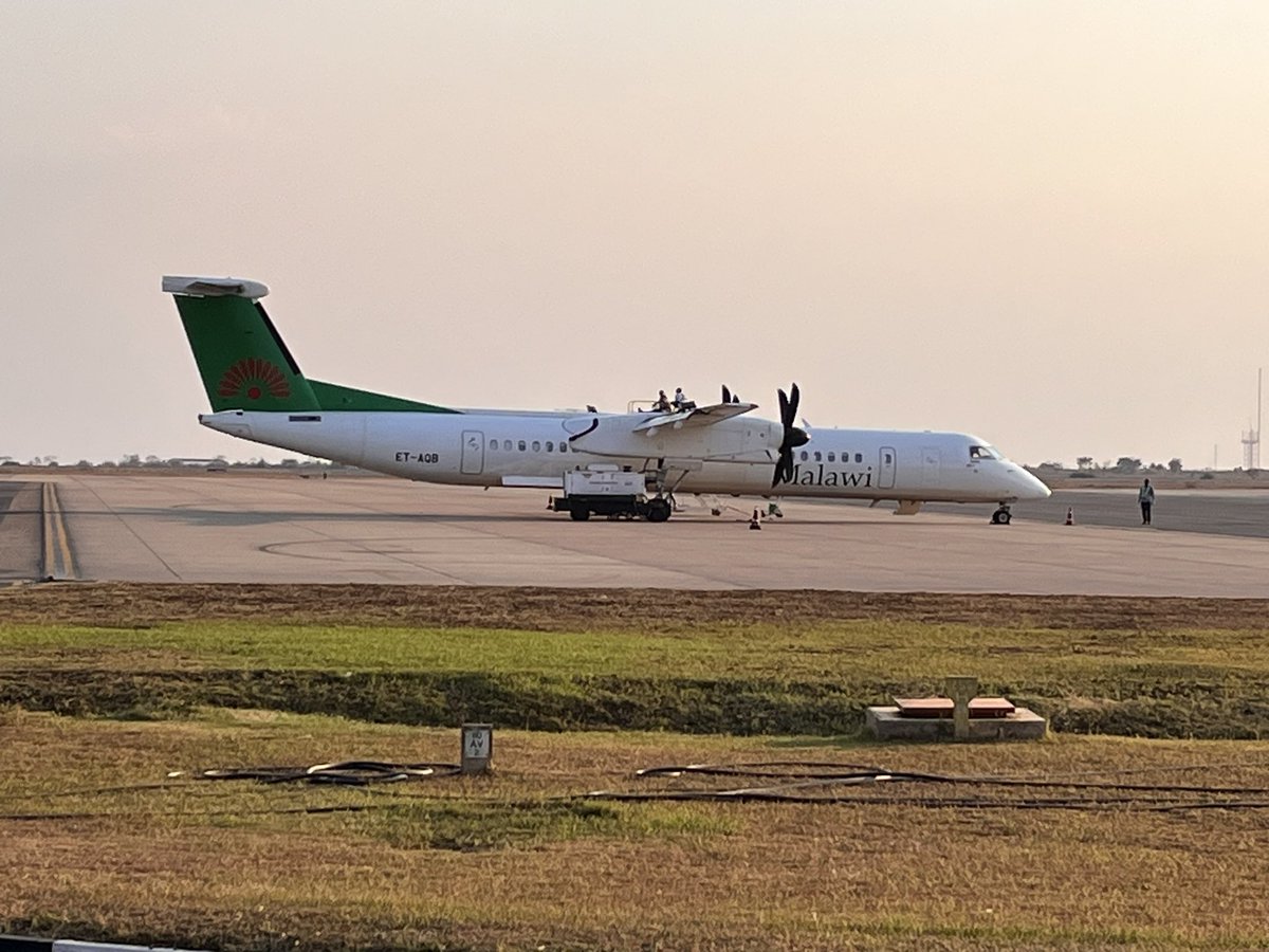 Chiponosko tweet media