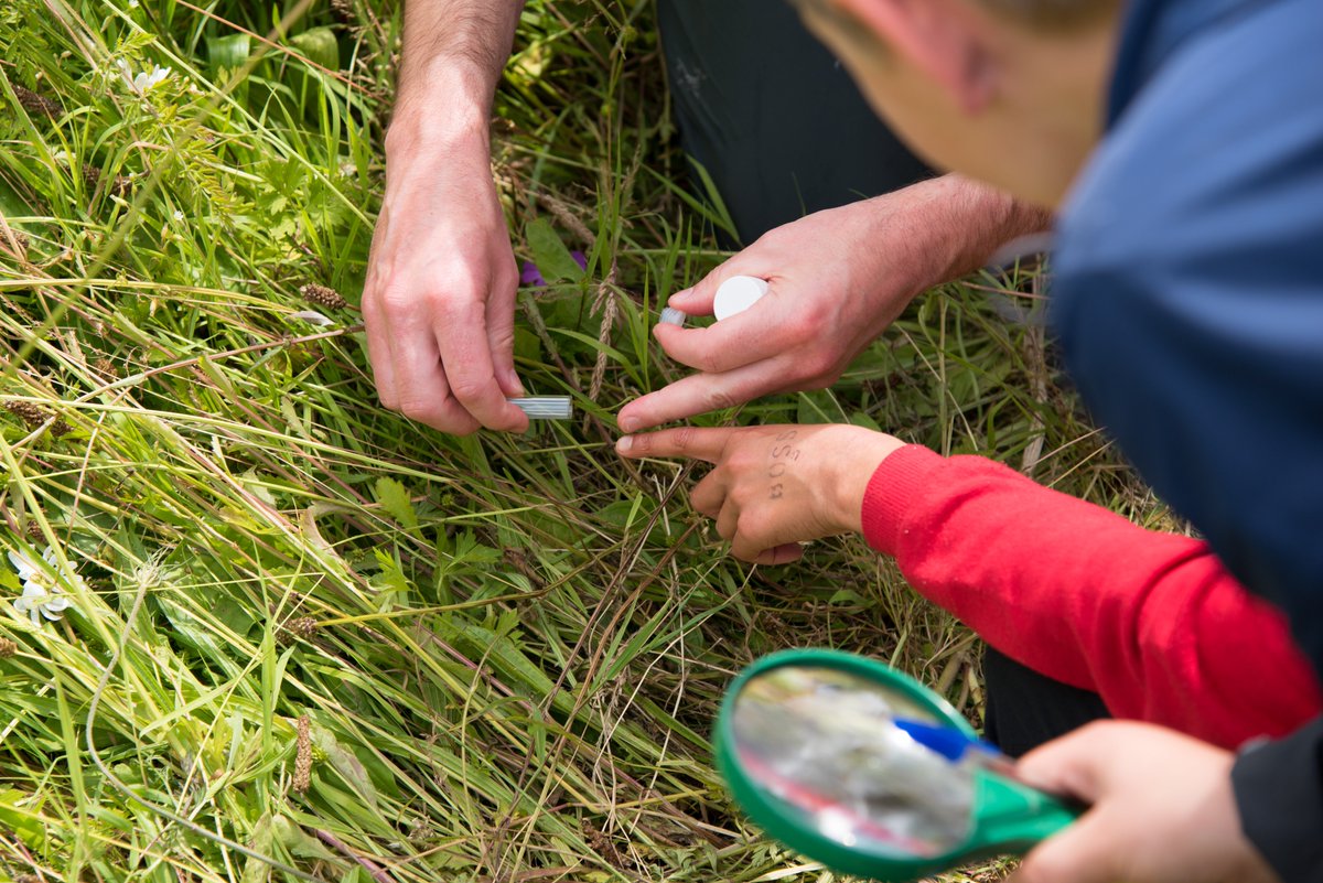 Is summer finally making an appearance? We're looking forward to a week of site visits and biological recording. Why not get out and see what you can find while the warm weather turbocharges wildlife activity this week!#biodiversity #ecology #BNG #nature #insects