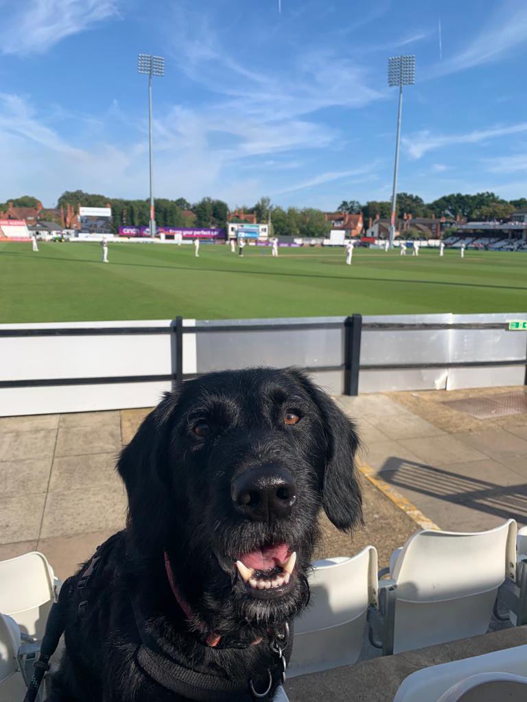 Ralph pleased with the return of four-day cricket in the County Championship. <a href="/NorthantsCCC/">Northamptonshire Steelbacks</a> v <a href="/lancscricket/">Lancashire Lightning</a> <a href="/dogsatcricket/">Dogs at Cricket Grounds</a>