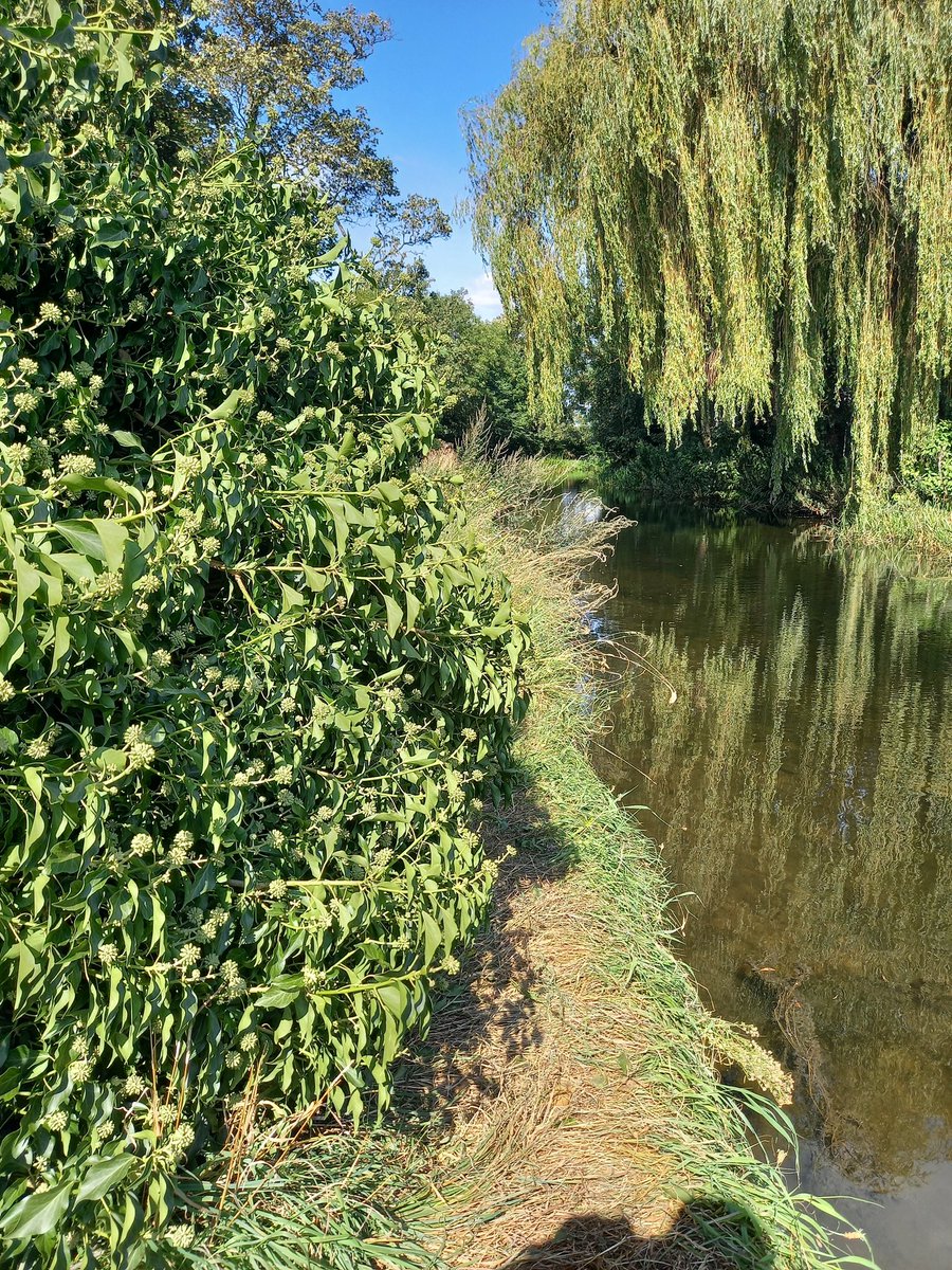 Notts Jots tweet media