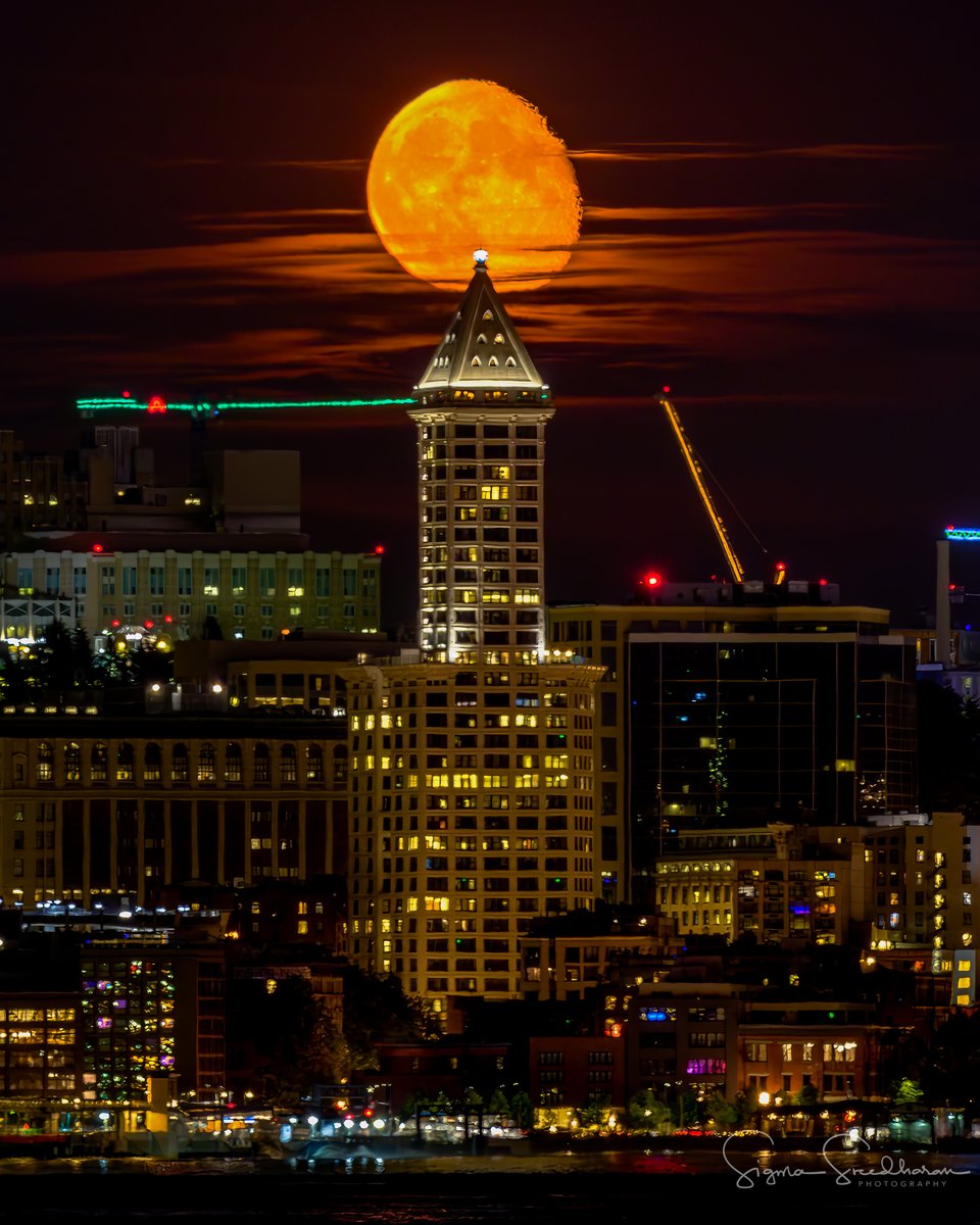 Sigma Sreedharan tweet media