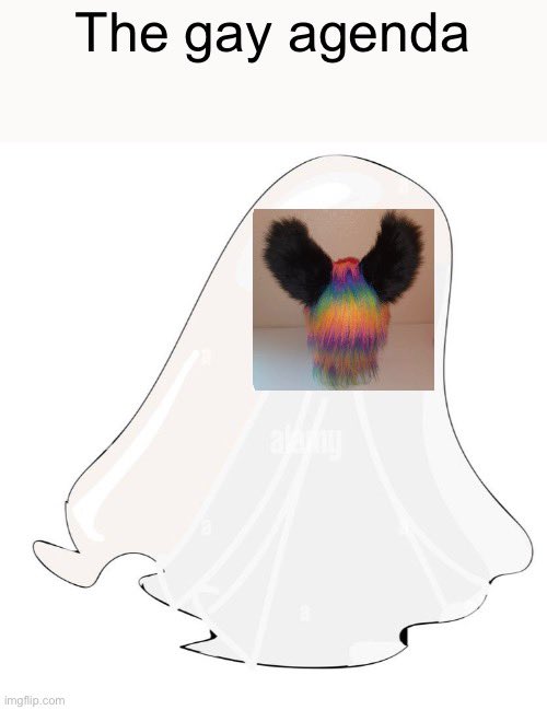 I have a fursuit now 😎