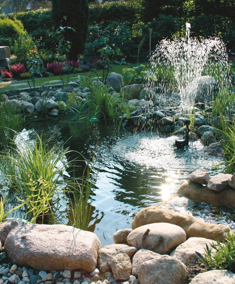 Un bassin dans votre jardin pour encourager la biodiversité : poissons, batraciens, insectes, oiseaux... C'est tout un univers que vous pourrez observer et encourager. 
Christian PESSEY
Retrouvez-moi sur...
reno-info-maison.com/biodiversite-u…