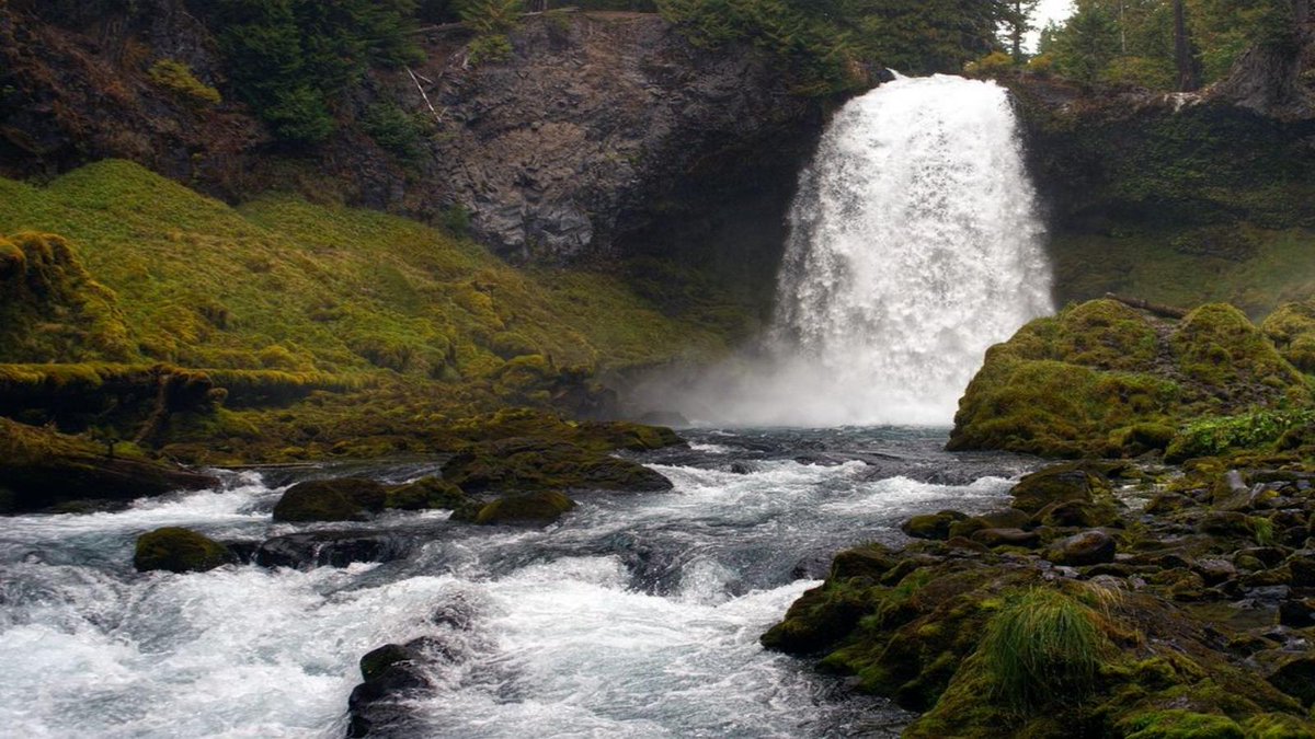 Yesterday's #WhereTakenUSA Puzzle 172 answer was OREGON

Common first guesses:
CALIFORNIA, MASSACHUSETTS

The most common incorrect guess: CALIFORNIA

1️⃣ 🟦🟦🟦 18%
2️⃣ 🟦🟦🟦🟦 32%
3️⃣ 🟦🟦🟦🟦 29%
4️⃣ 🟦🟦 12%
5️⃣ 🟦🟦 5%
6️⃣ 🟦 2%
❌ 🟦 2%

wheretakenusa.teuteuf.fr