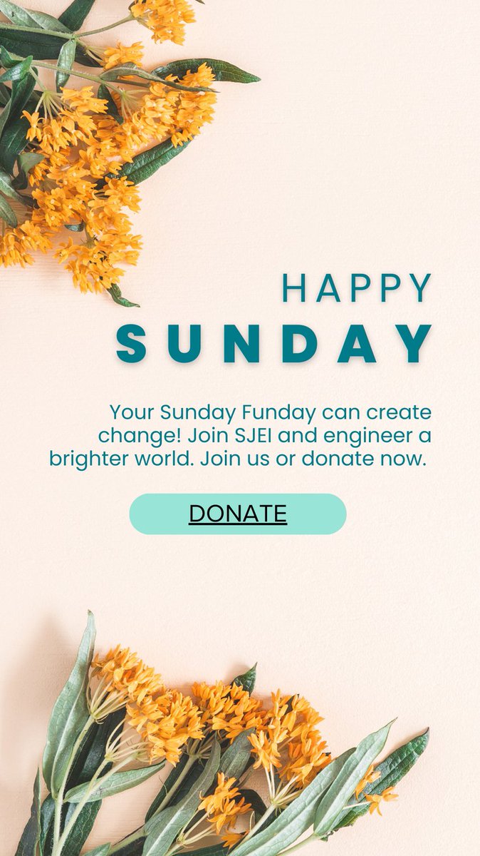 🌍 Celebrate Sunday Funday with us! Join or donate to SJEI for a fun, purposeful day. Together, we engineer a sustainable and equitable future. 🛠️ #SundayFunday #EngineerChange