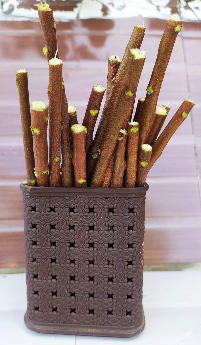 News Potli tweet media