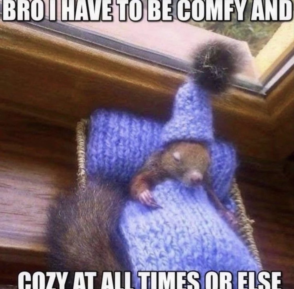 earthdombaby tweet picture