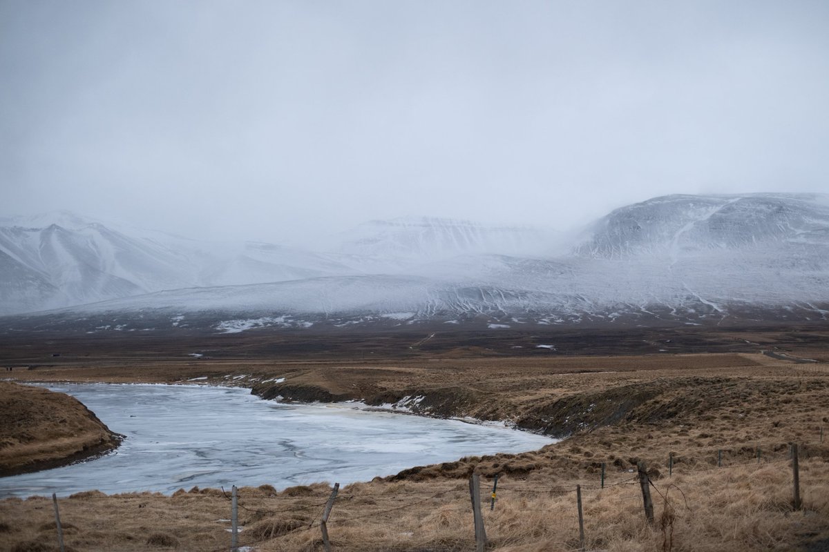 Thanh's tweet photo. La route
Islande 2023, day 4
#iceland #islande #peninsule #journey #synapsie #landscape #landscapephotography #mer #sea #earthlings #voyage #paysage #fujifilm #xh2s #roadtrip #friendship #beautifuldestinations #beautiful #winter
https://t.co/lvv2ALGPmQ https://t.co/nReRJevS9J