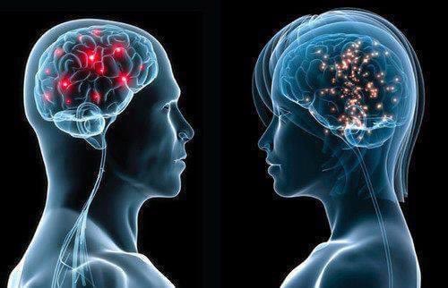 Emelia (@vikingwarior20) on Twitter photo Human Brain Analysis :- MEDICAL FACTS
Man vs. Woman......!!
1. MULTITASKING:
Women - Multiple process
Women's brains designed to concentrate multiple task at a time.
Women can Watch a TV and Talk over phone and cook.
Men - Single Process
Men's brains designed to concentrate Human Brain Analysis :- MEDICAL FACTS
Man vs. Woman......!!
1. MULTITASKING:
Women - Multiple process
Women's brains designed to concentrate multiple task at a time.
Women can Watch a TV and Talk over phone and cook.
Men - Single Process
Men's brains designed to concentrate