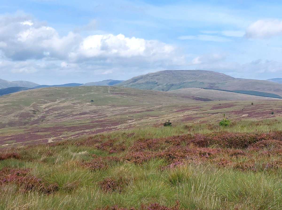 Second day out from Langholm. 10.5 miles, 2100 feet ascent. Three more tops. Great area!