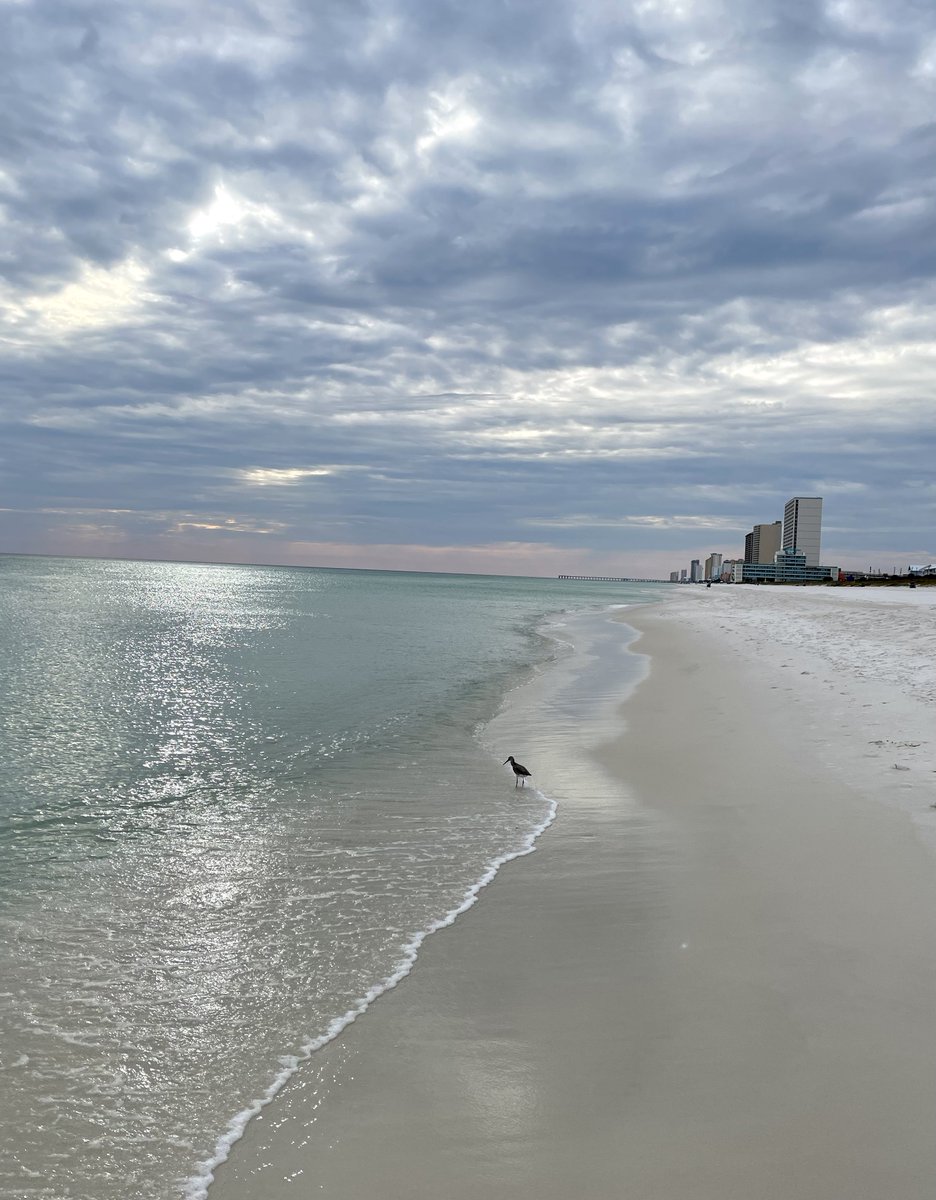SashaEats's tweet photo. @LiveaMemory @sl2016_sl @leisurelambie @FitLifeTravel @SteveKubota @OdetteDunn @G12Rocco @MelissaOnline @ComesAnnemarie @cityandsand @naturetechfam @WynnWs @SarahSevans2000 Beautiful photos, Doug! Here are a few #SundaySunsets captures from Panama City Beach, Florida ๐
#SashaInPCB #LoveFL #VisitPCB https://t.co/PH1965IRHH