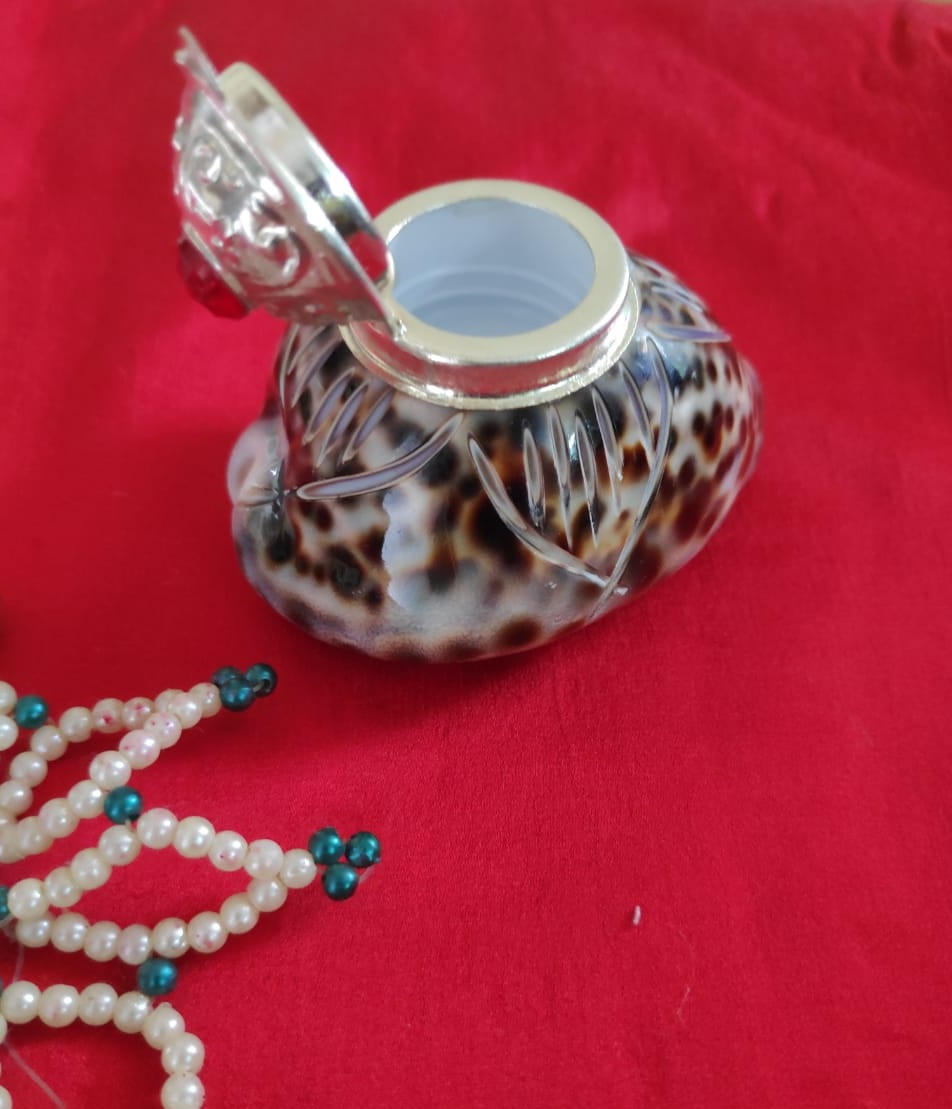 shellwala's tweet photo. This elegantly designed tiger cowrie storage container has a circular top and has a self-design chrome finish lid which gives ease of accessibility.

https://t.co/nSz5eMp8px

#natural  trending #shop #instagood #shoppingonline #sundayvibes #gifts #peace #attractive #decor #design https://t.co/QcmsbB89om