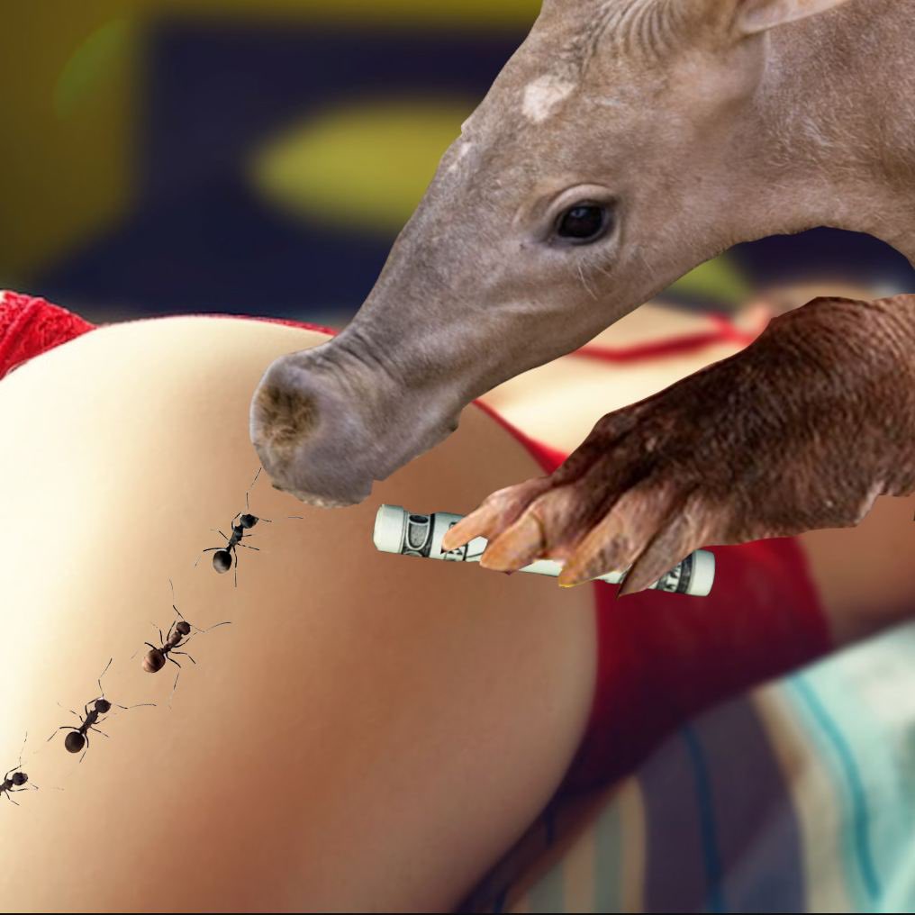 Aardvark tweet media