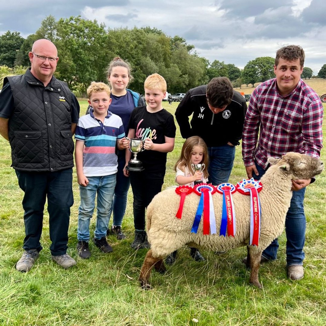 Datamars Livestock tweet media