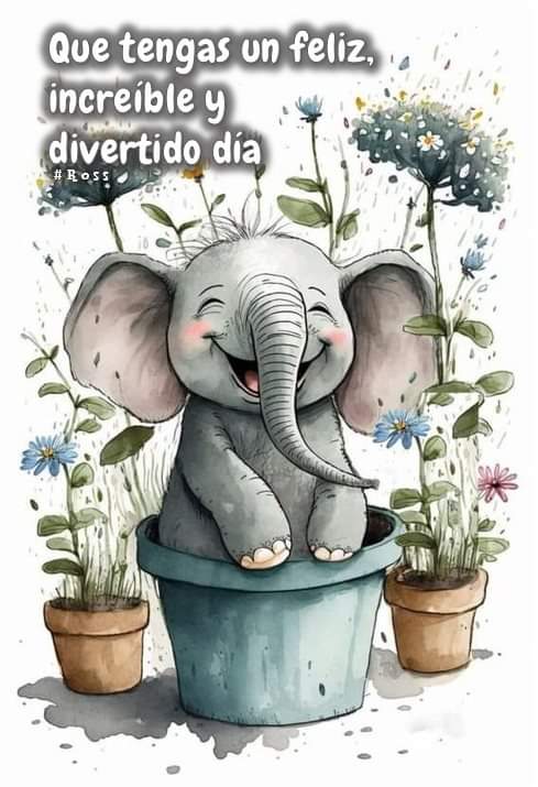 Rosa De Jesús (@rosa_galindo_) on Twitter photo 