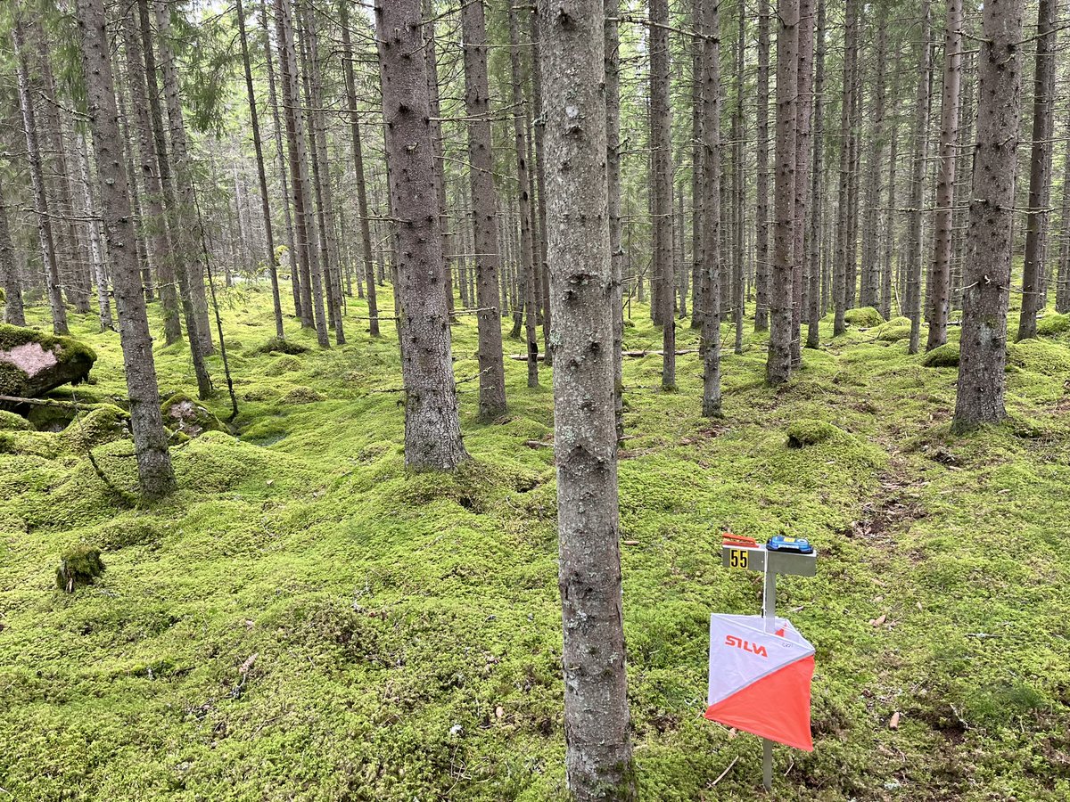Orienteringssporten har hittat ett bra sätt att vistas i naturen, - med hänsyn till naturvärden och respekt för markägarna. Ett föredöme tycker jag! Idag var det DM-stafett i Småland där orienterarna trivdes bra även i ren produktionsskog!
orientering.se/forening/markf…