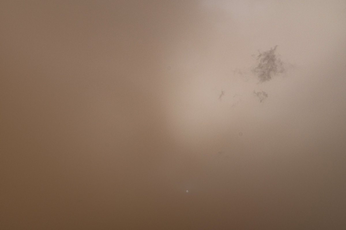 geologoenapuros's tweet photo. Ahora mismo tenemos una advección de polvo en el sureste peninsular muy importante. Los cielos están naranjas y, junto con las nubes, le dan un aspecto traslúcido y anaranjado a la atmósfera, como podéis ver en las imágenes que acabo de tomar.