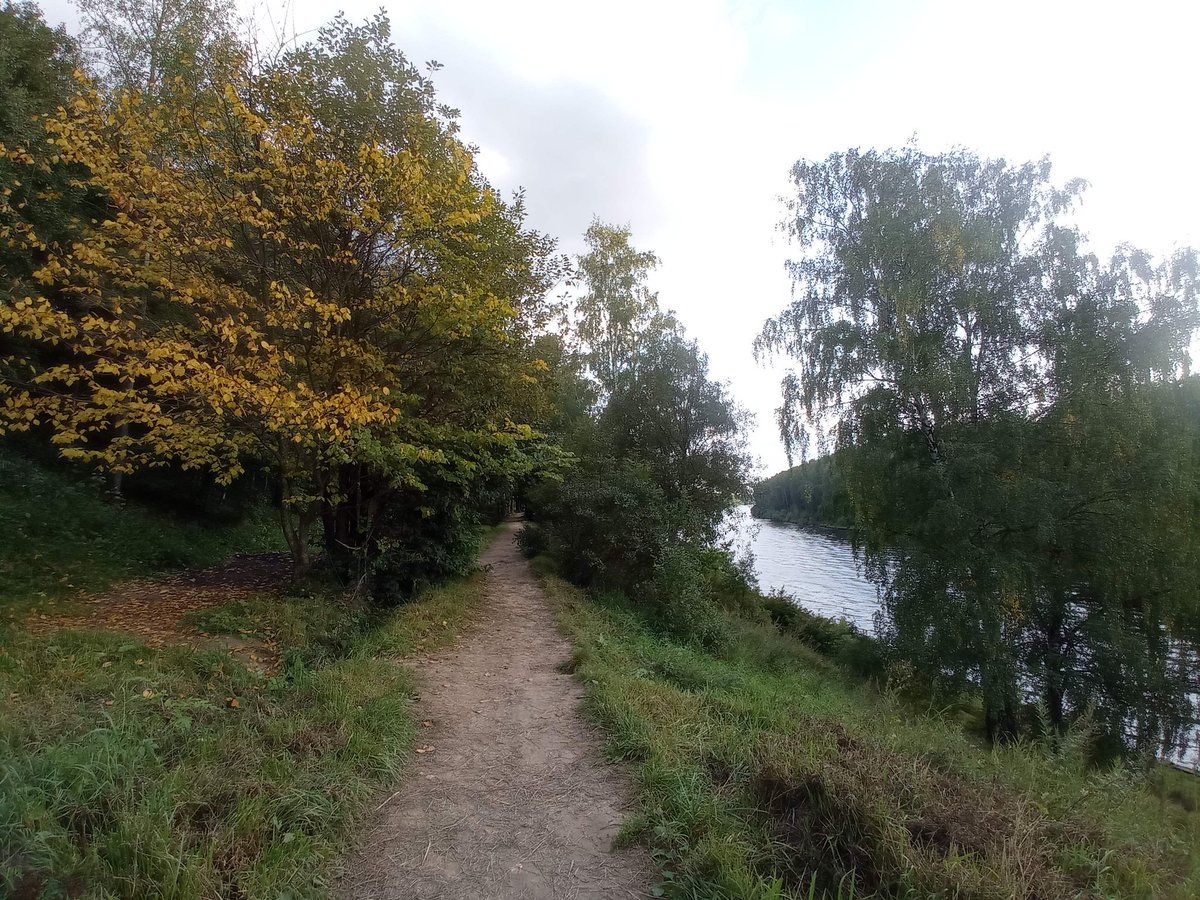 Марья tweet media