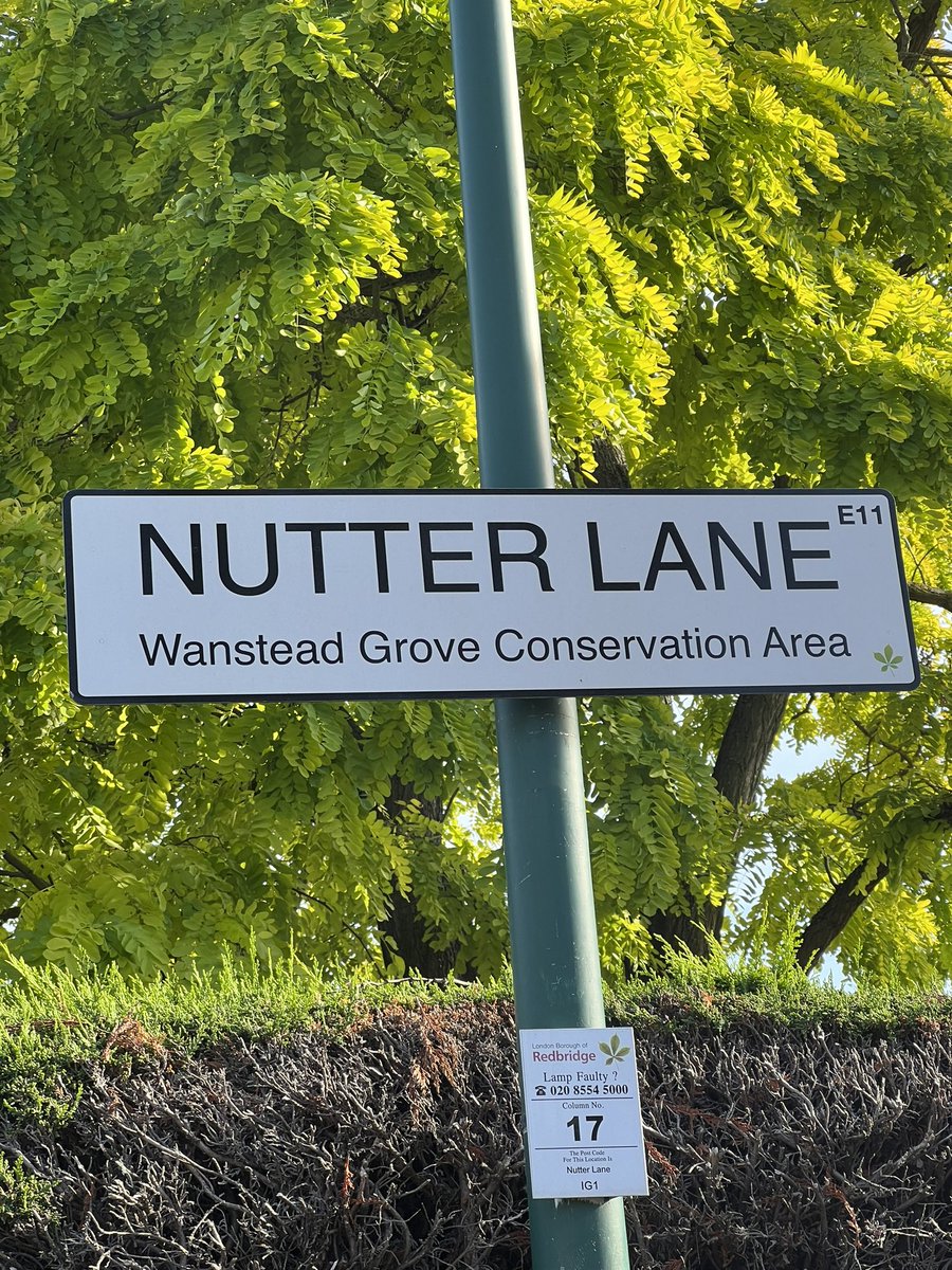 Hey Twitter or X, didn’t realise your collective [insert person/relative] lived here…