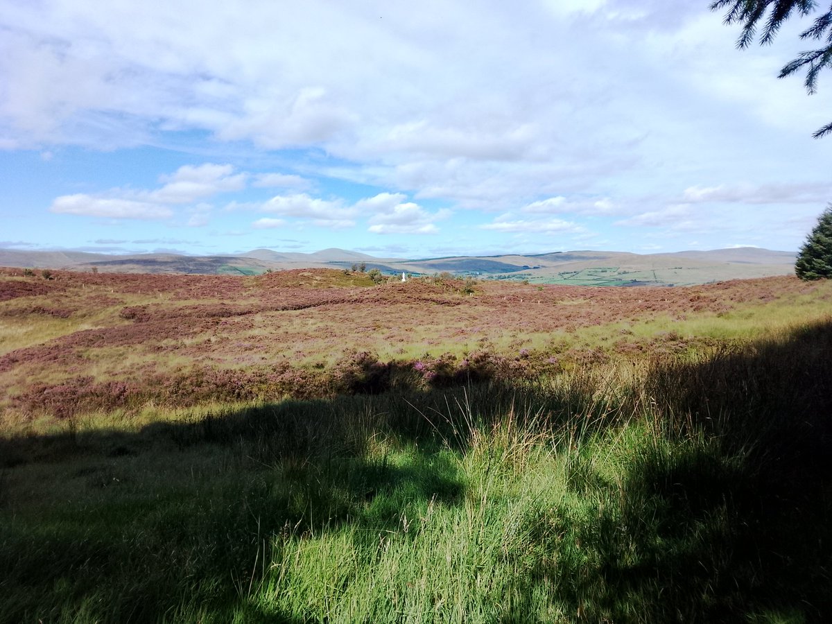 Tá na Speiríní go hálainn 🥰 D'fhoglaim muid go leor leor inniu, go raibh míle maith agaibh @SaveOurSperrins !