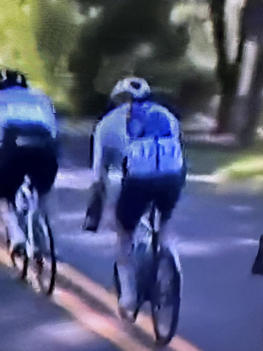 David Coletto 🇨🇦 tweet media