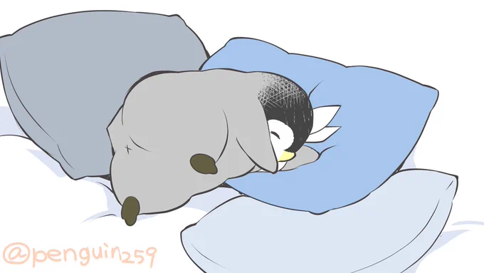 ホテルに行くとなんか枕いっぱいあるけど枕の数だけ眠りが深く_人人人人人人人_> ならないよ <‾Y^Y^Y^Y^Y^Y‾╭━━━━━━━━━╮ そろそろおねむ時間╰━━━━v━━━━╯ 