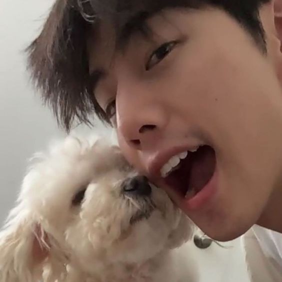 Koreaboo's tweet photo. Happy Birthday to GOT7's amazing talent, Mark! 🎂
We are wishing you a wonderful day surrounded by love and happiness. You truly make us smile in so many ways and we are so grateful for sharing your talent with the world. We love you! 💚
#Yiens30thMark #HappyBirthdayMarkTuan https://t.co/leSrwQshw0