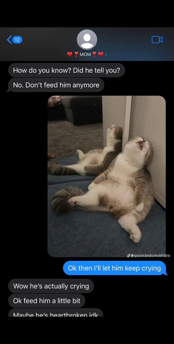 THE PICTURE😭😭😭