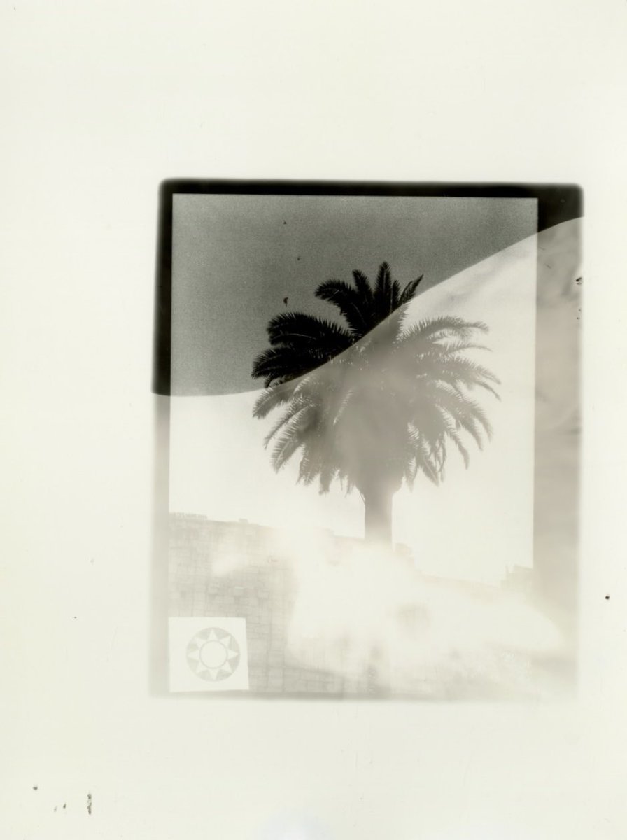 Harper Slone tweet media