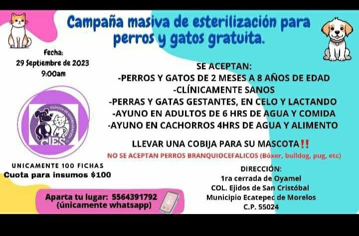 El_gatitoGordo's tweet photo. Solo comparto...
Porque luego dicen que no hay campañas, incluso hay campañas del gobierno que se realizan cada mes en distintas alcaldías, donde bien podrían llevar a todos sus gatitos y perritos de su colonia... pero NO LO HACEN! https://t.co/ZoaaIr8H7N